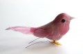 Veren vogel musje roze